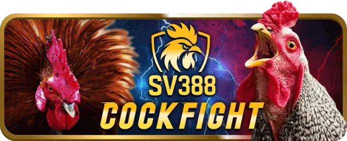 Ưu đãi độc quyền 97win